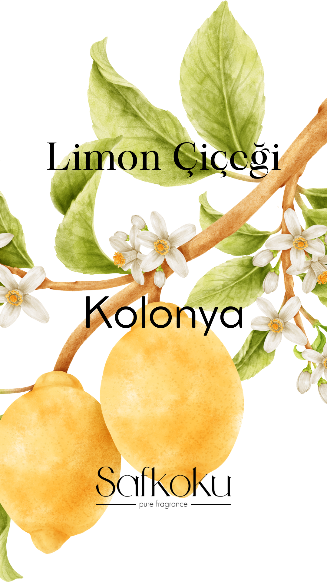 Limon Çiçeği Kolonyası
